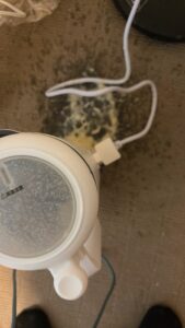 20251219_081447911_iOS